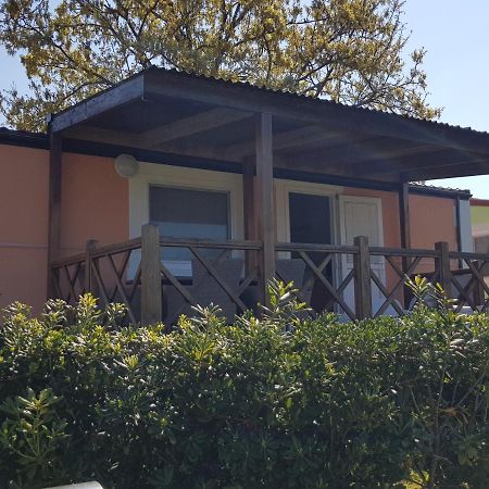 Naturist Mobile Homes Eden In Fkk Ulika Poreč Zewnętrze zdjęcie